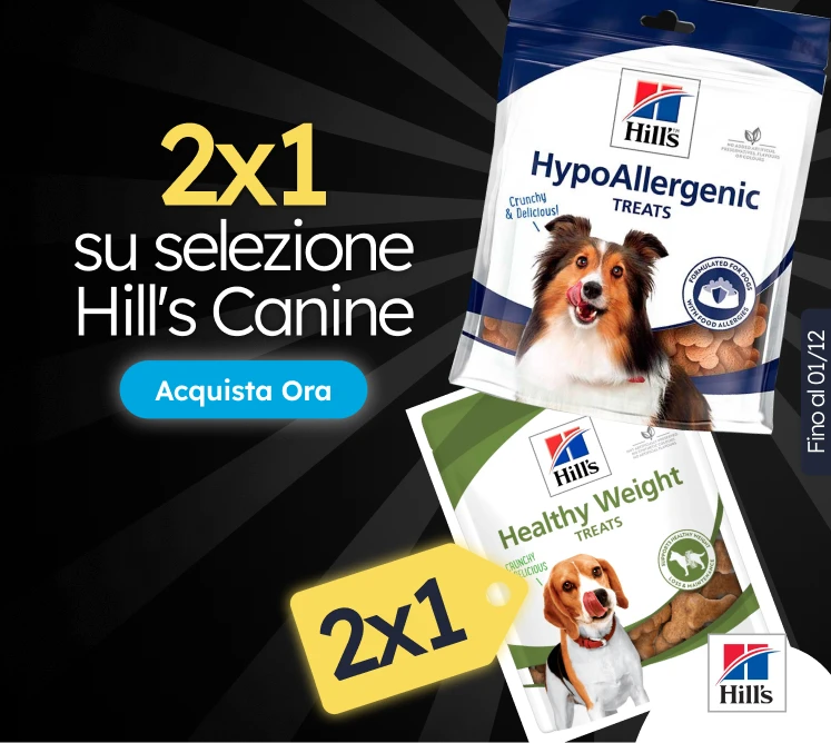 /c/noviembre-hills-2x1