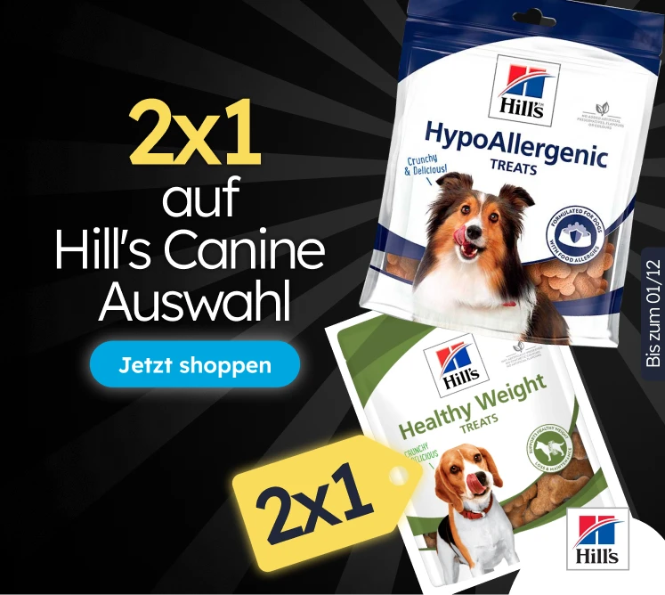 /c/noviembre-hills-2x1