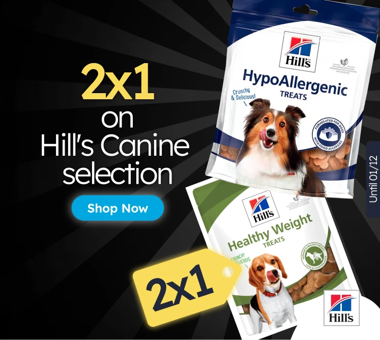 /c/noviembre-hills-2x1