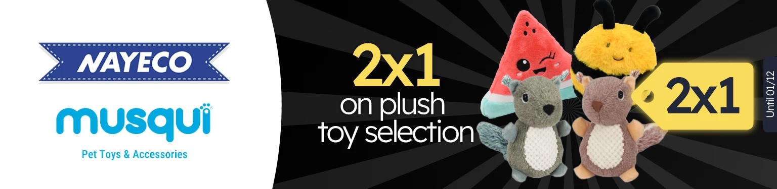 /c/noviembre-nayeco-musqui