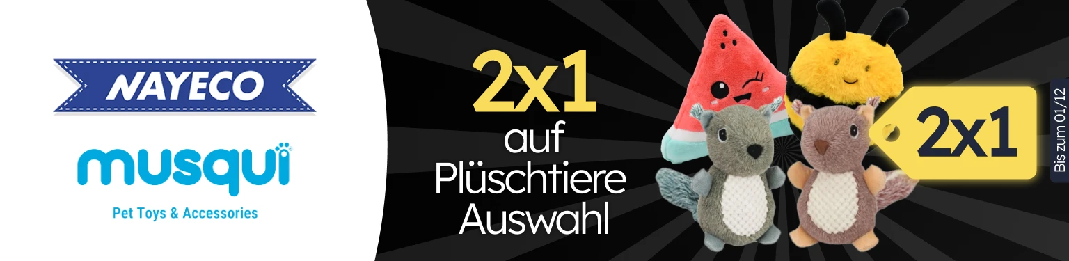 /c/noviembre-nayeco-musqui