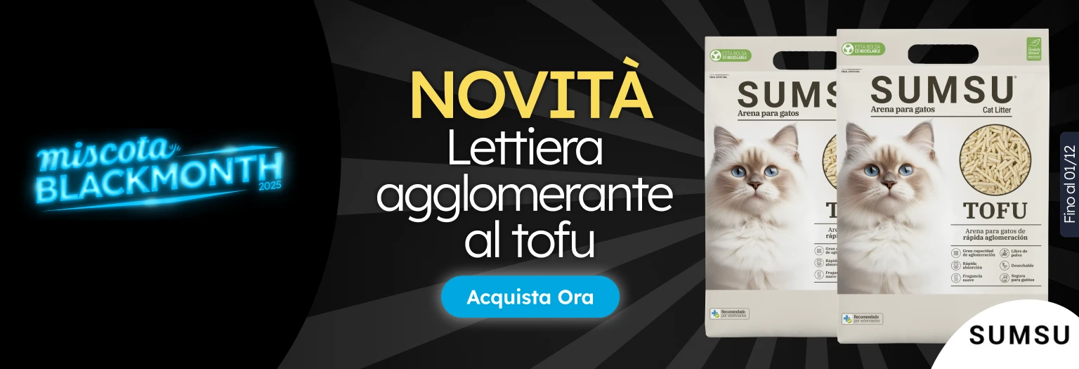 /c/noviembre-sumsu-tofu