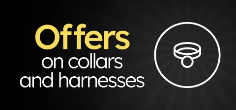 /c/noviembre-collares-arneses