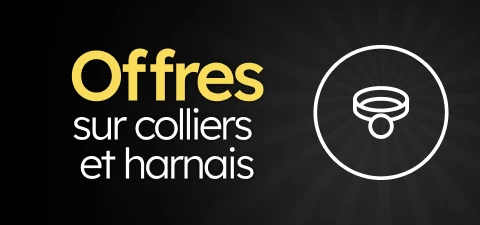 /c/noviembre-collares-arneses