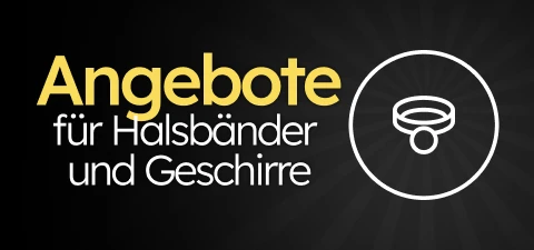 /c/noviembre-collares-arneses