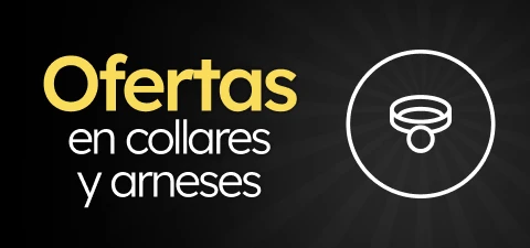 /c/noviembre-collares-arneses