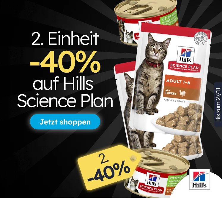 /c/noviembre-hills-3x2