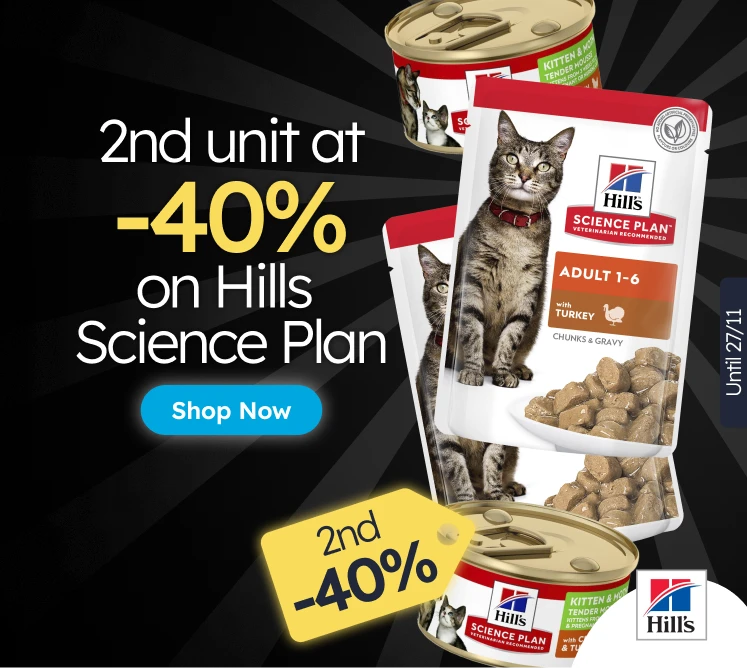 /c/noviembre-hills-3x2