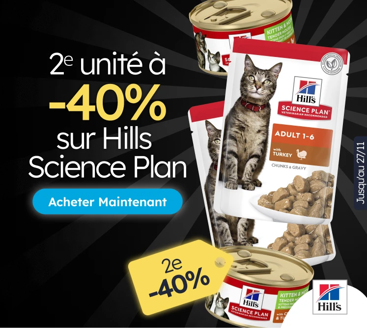 /c/noviembre-hills-3x2