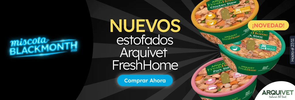 /c/noviembre-arquivet