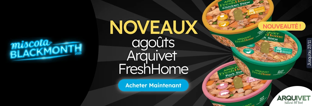 /c/noviembre-arquivet