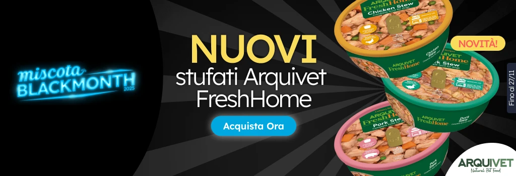 /c/noviembre-arquivet