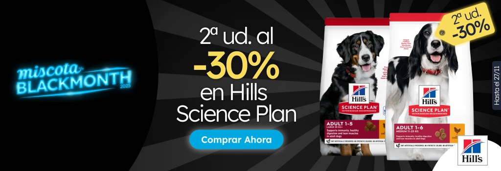 /c/noviembre-hills-2-30