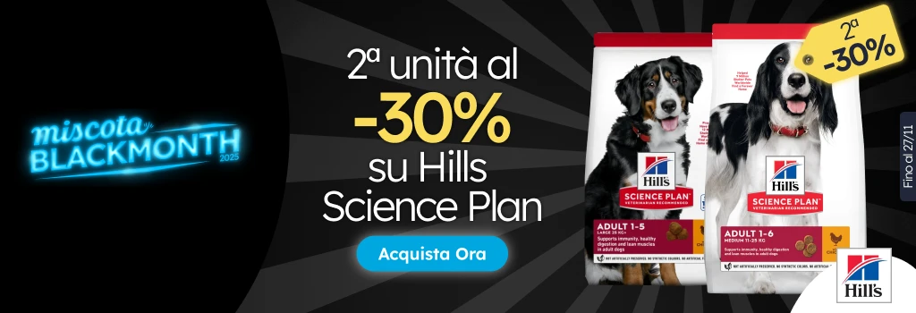 /c/noviembre-hills-2-30