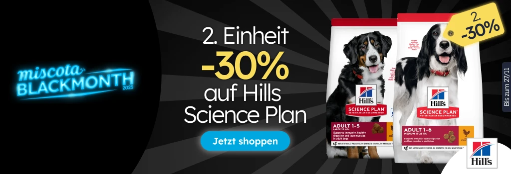 /c/noviembre-hills-2-30