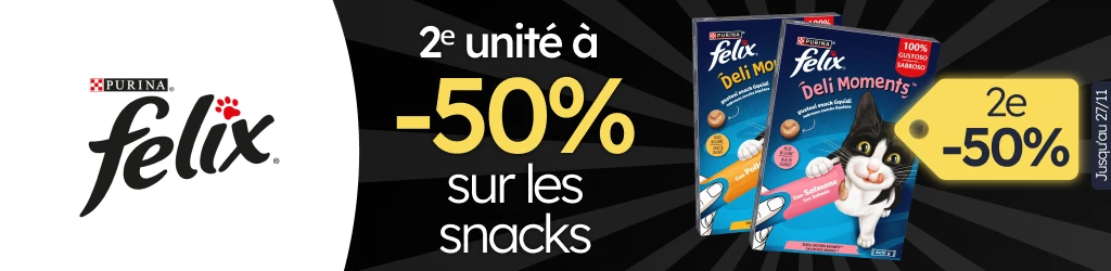 /c/noviembre-feliz-2-50