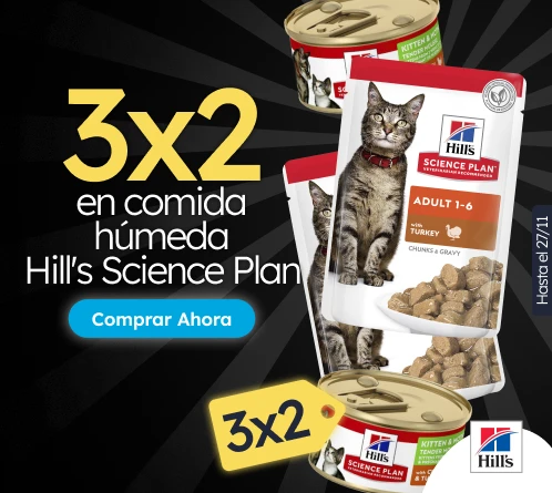 /c/noviembre-hills-3x2