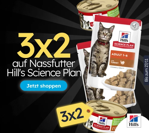 /c/noviembre-hills-3x2