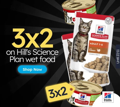 /c/noviembre-hills-3x2