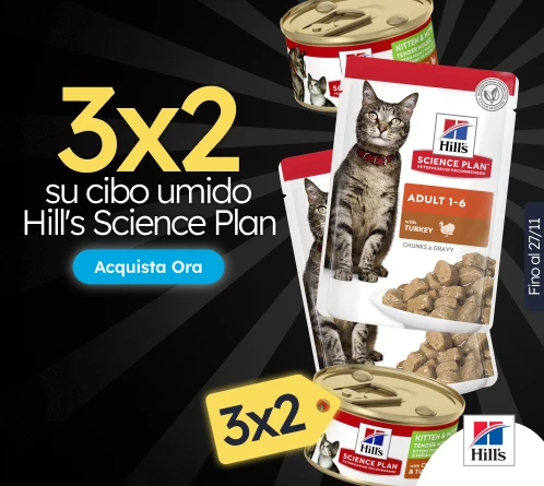 /c/noviembre-hills-3x2