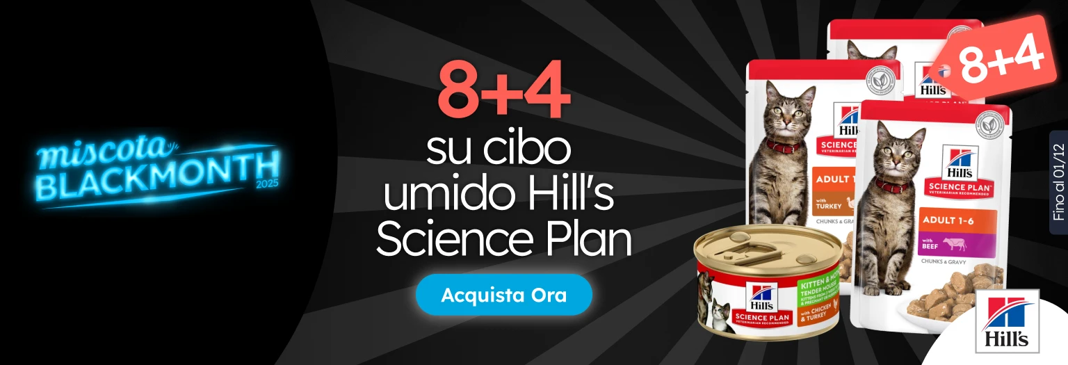 /c/noviembre-hills-8-4