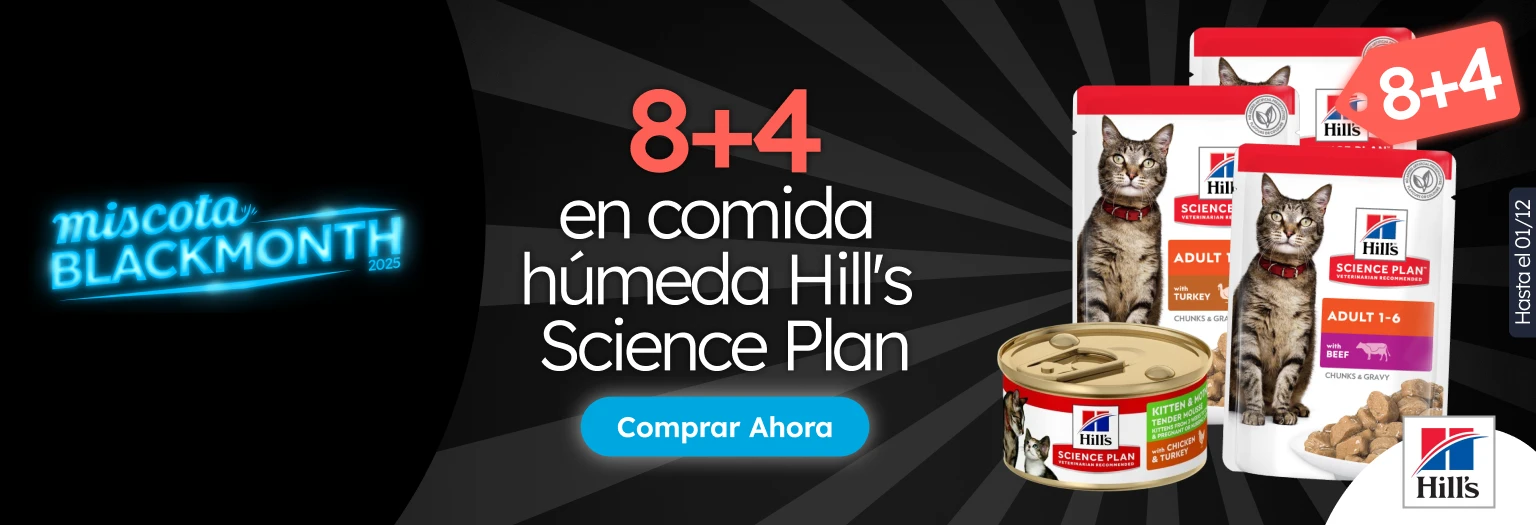 /c/noviembre-hills-8-4