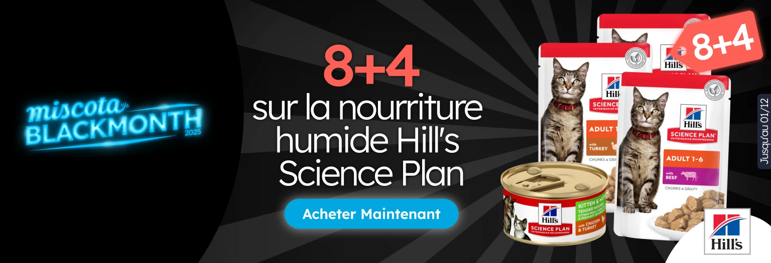 /c/noviembre-hills-8-4