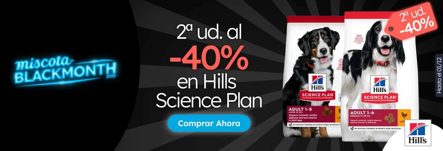 /c/noviembre-hills-2-40