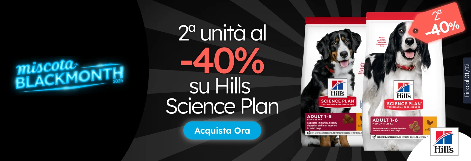 /c/noviembre-hills-2-40