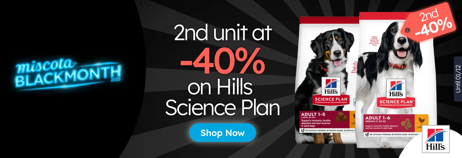 /c/noviembre-hills-2-40