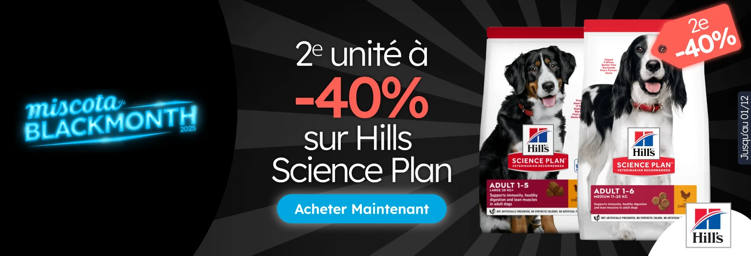 /c/noviembre-hills-2-40