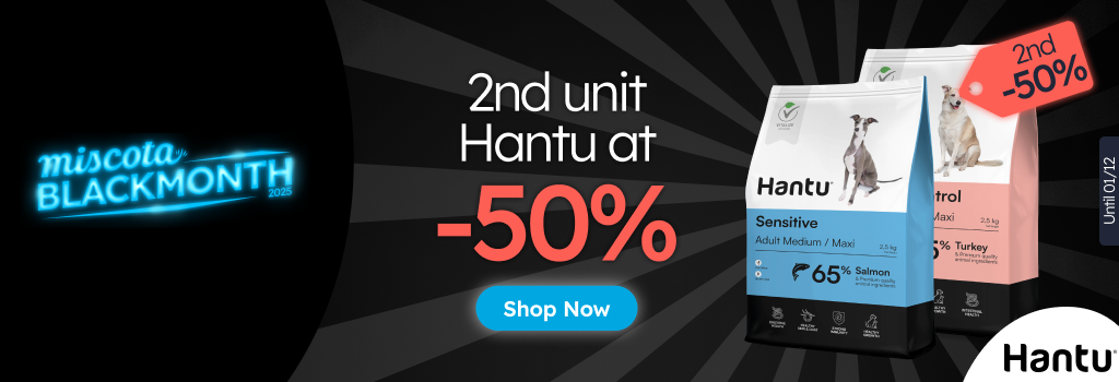 /c/noviembre-hantu-2-50