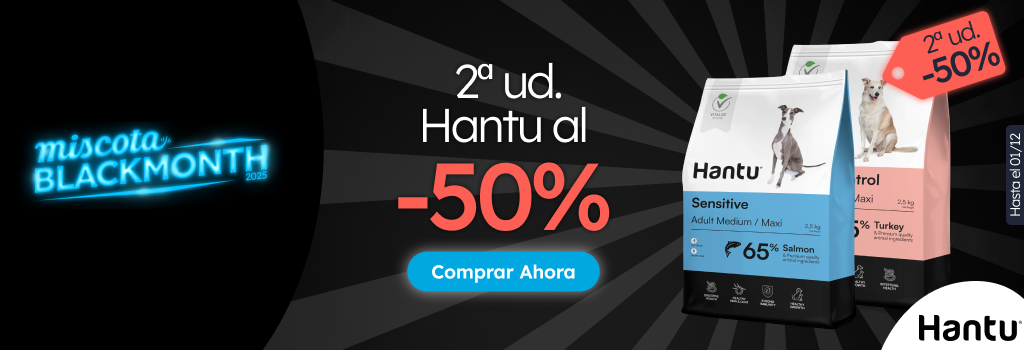 /c/noviembre-hantu-2-50