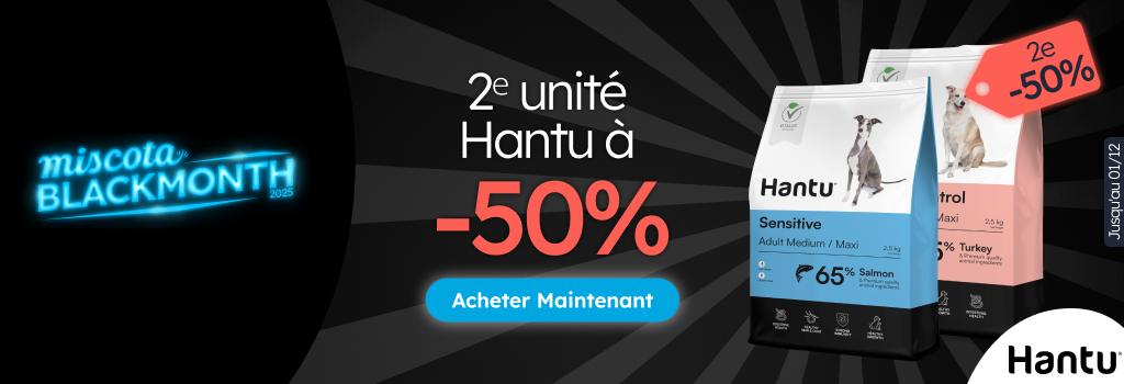 /c/noviembre-hantu-2-50