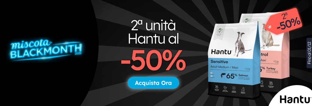 /c/noviembre-hantu-2-50