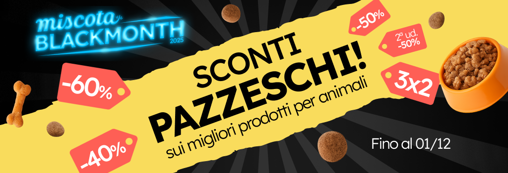 /c/noviembre-black-month