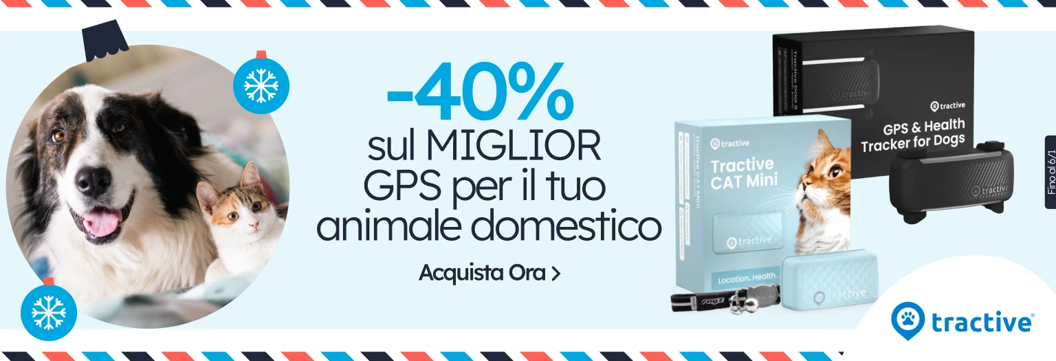 /c/diciembre-tractive-40