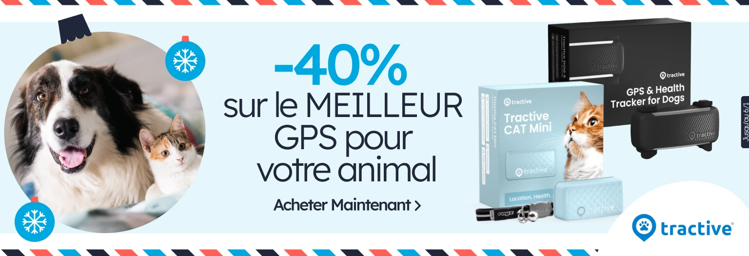 /c/diciembre-tractive-40