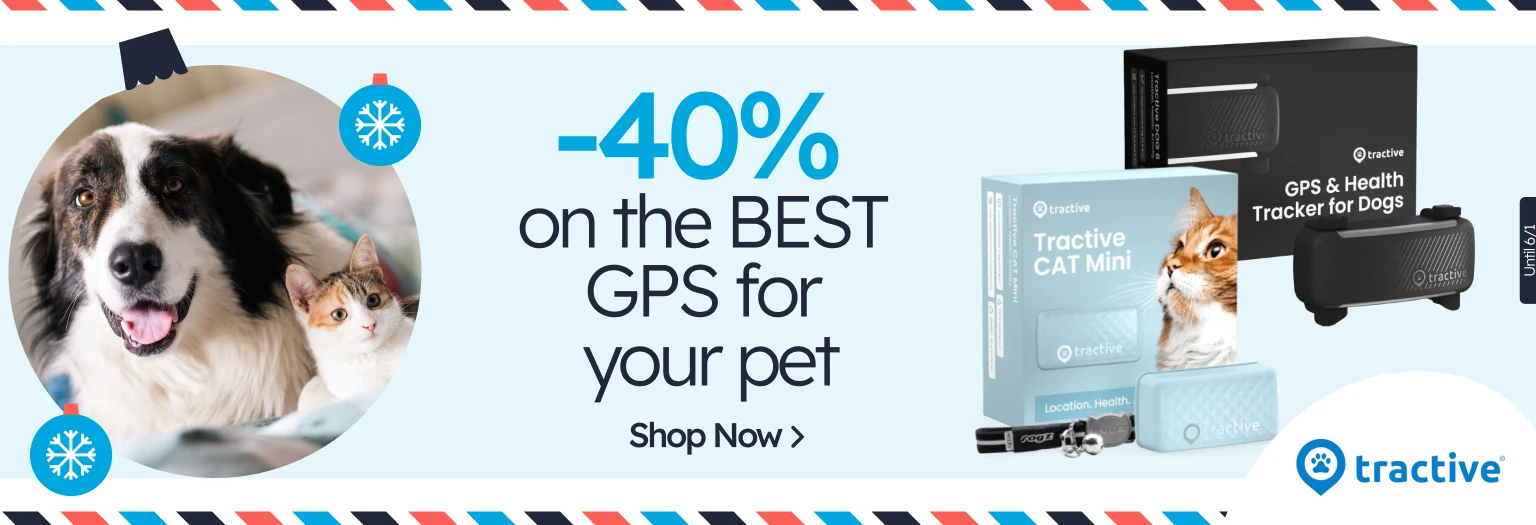 /c/diciembre-tractive-40