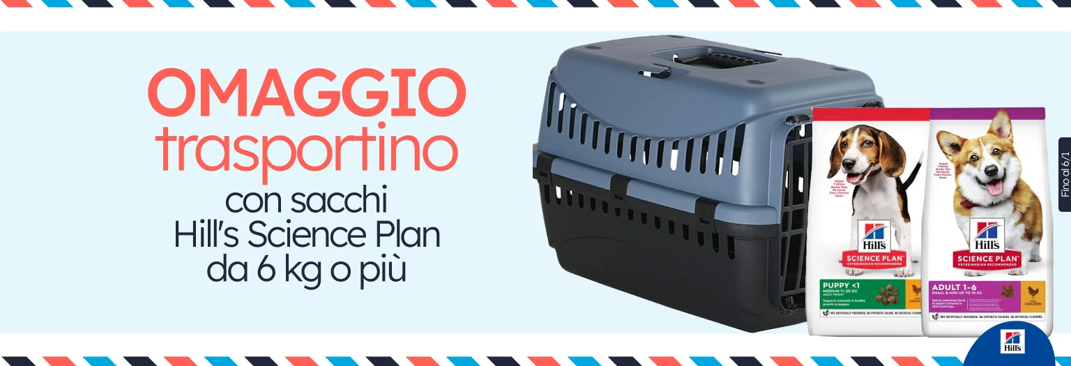 /c/diciembre-hills-gift-transportin