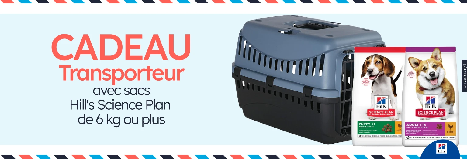 /c/diciembre-hills-gift-transportin