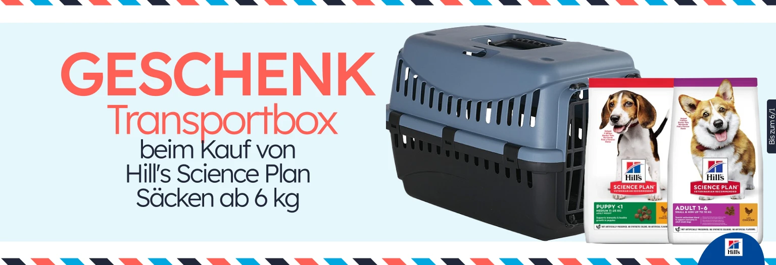 /c/diciembre-hills-gift-transportin