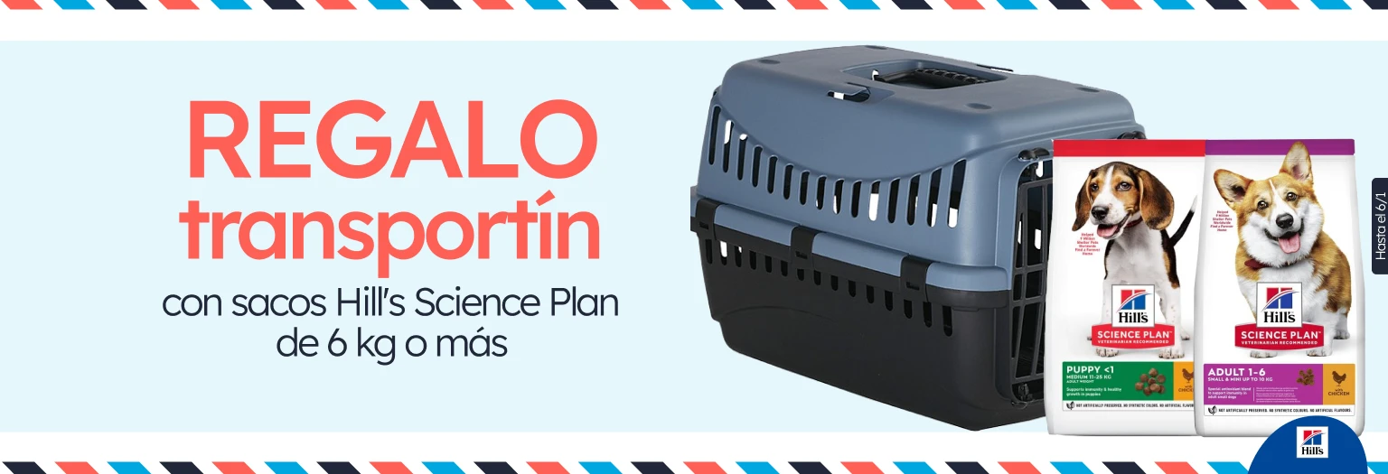 /c/diciembre-hills-gift-transportin