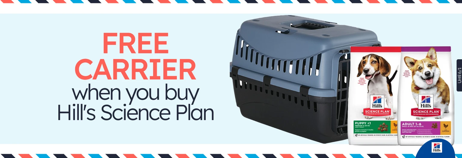 /c/diciembre-hills-gift-transportin