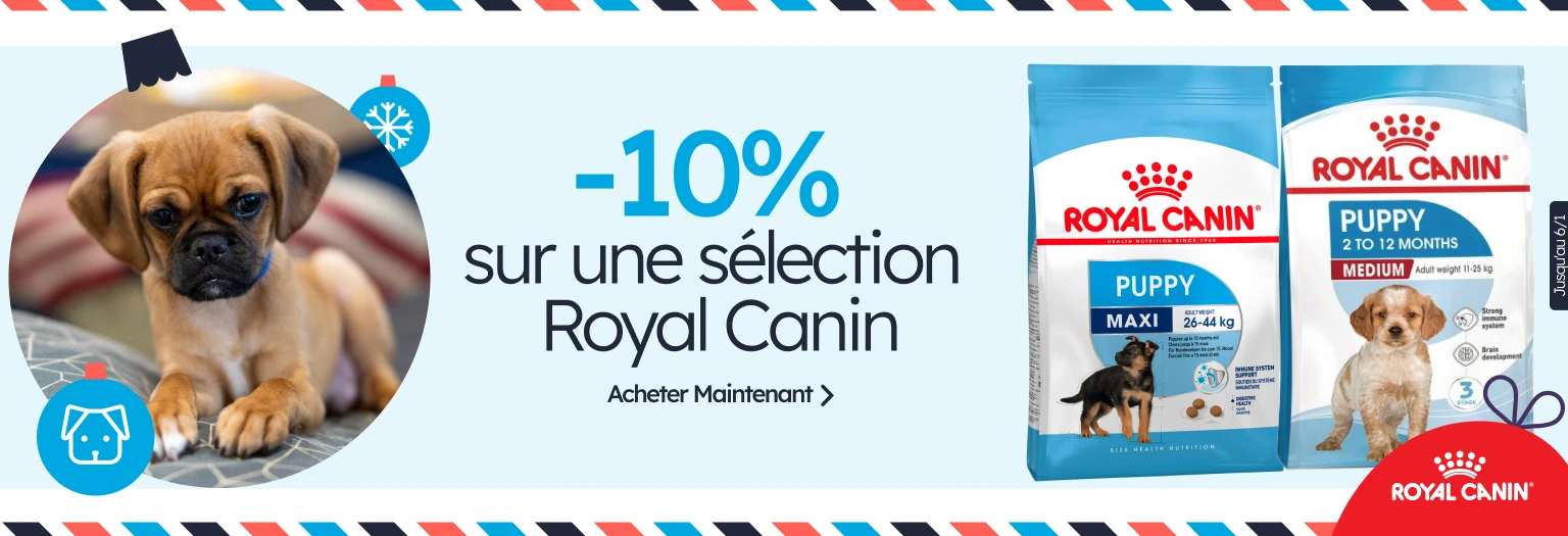 /c/diciembre-royal-canin-10