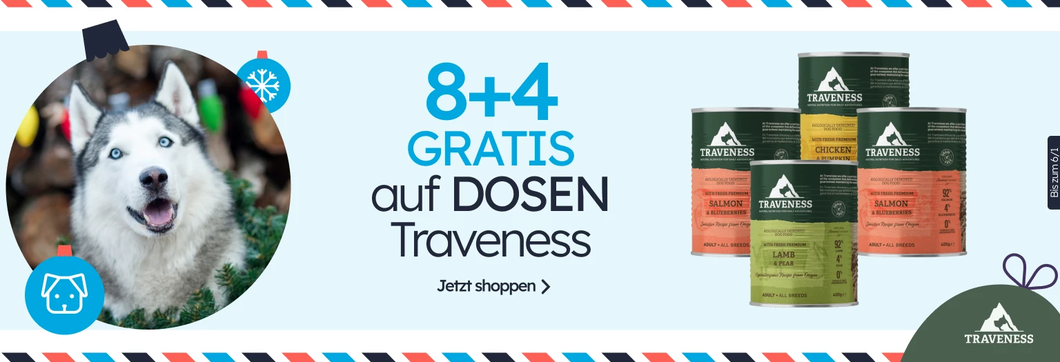 /c/diciembre-traveness-8-4