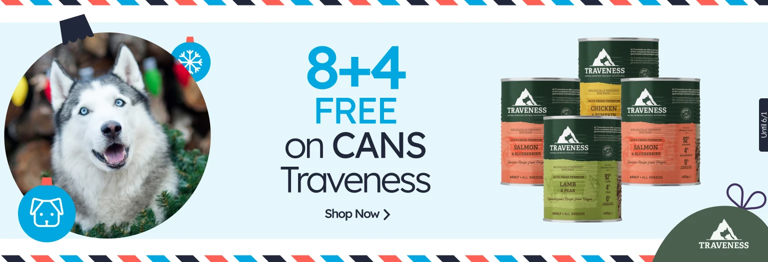 /c/diciembre-traveness-8-4