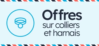 /c/diciembre-collares-arneses