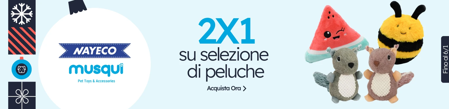 /c/diciembre-nayeco-musqui