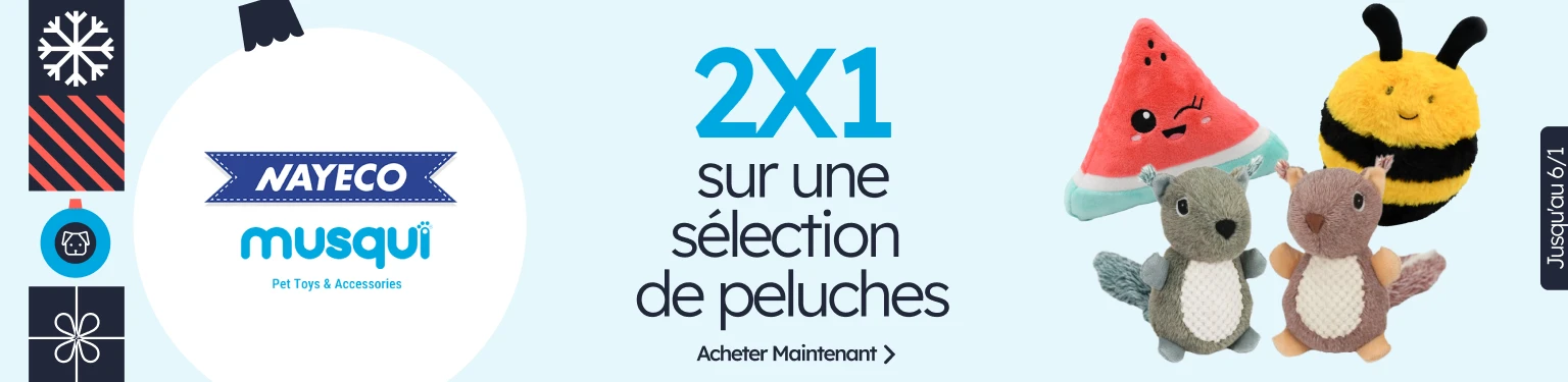 /c/diciembre-nayeco-musqui